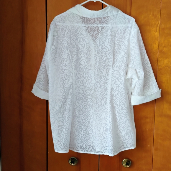 Elegant Carroll Reed  White Sheer Blouse Size 2X  Button V-neck 3/4 Sleeves - Picture 2 of 15